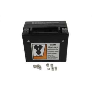 Twin AGM 12 Volt 310 Cold Cranking Amps Sealed Maintenance Free 