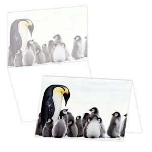 ECOeverywhere Penguin and Chicks Boxed Card Set, 12 Cards 