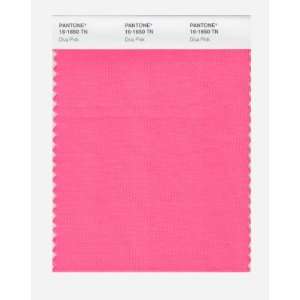  Pantone 16 1650 Nylon Brights Color Swatch Card