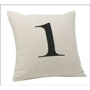  Pottery Barn Number Pillow Covers