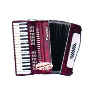  Parrot Piano Accordion 24 Bass 32 Keys T5007 Musical 