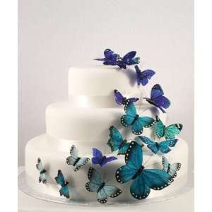    Beautiful Butterfly Cake Sets   Something Blue 