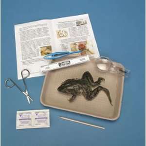 Young Scientists Frog Dissection Kit  Industrial 