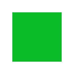  Rosco Roscolux 386 Leaf Green Gel Filter Sheet 