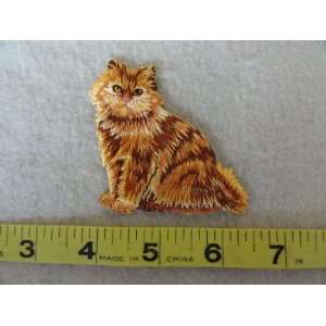  A Pretty Cat Patch 