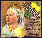 VICTORIA Citrus Crate Label Riverside CA Queen Victoria  