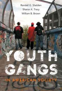   Youth Gangs in American Society by Randall G. Shelden 