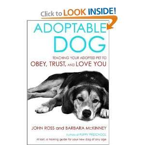  Adoptable Dog Teaching Your Adopted Pet to Obey, Trust 