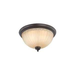  Nuvo Lighting   60/4233   Carousel Collection   3 Light 