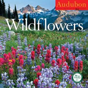   2012 Audubon Wildflowers Wall Calendar by Workman 