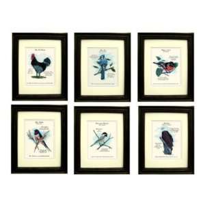  State Bird Prints  Ballard Designs