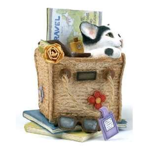 Country Artists Kitten Tales Travel kit