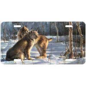 6536 Lynx Light Lynx License Plate Car Auto Novelty Front Tag by 