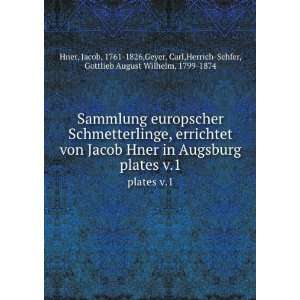   , Carl,Herrich Schfer, Gottlieb August Wilhelm, 1799 1874 Hner Books