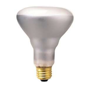  65W Incandescent BR30 Indoor Reflector Spot Light Bulb in 