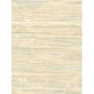  Wallpaper Patton Wallcovering texture Style NtX25749