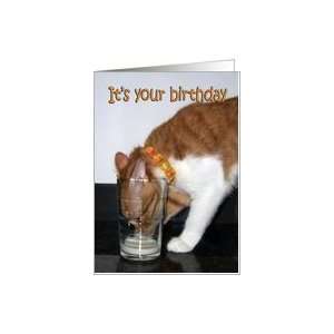  Happy Birthday   Funny Cat Drinking from Glass Card 