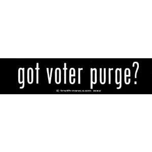  got voter purge? Automotive