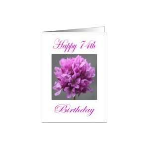  Happy 74th Birthday Purple Flower Card Toys & Games