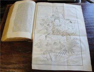 RARE 1733 Dutch Folio Edition of De Beschryving Van Japan by 