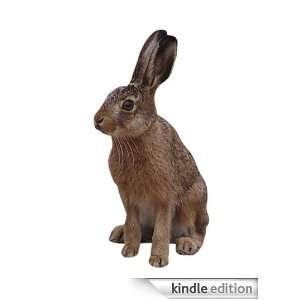 Hare   Animal Kingdom App Book Shop  Kindle Store