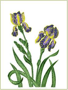 Iris Blossoms machine embroidery designs 5x7 hoops  