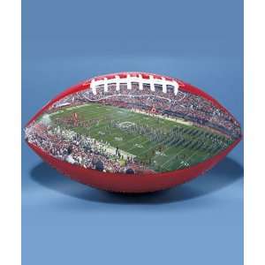  Ohio State College Stadium Collectible Football Sports 