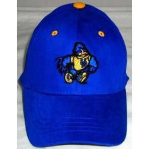  Delaware Fighting Blue Hens Youth Team Color One Fit Hat 