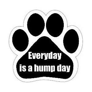  Everyday Is a Hump Day Car Magnet 