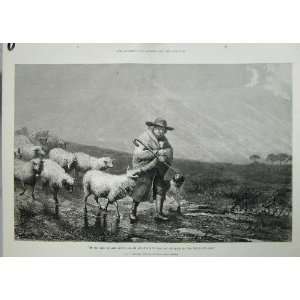  1873 Bottomley Royal Academy Sheep Lambs Shepherd Dog 