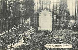 NY OYSTER BAY TEDDY ROOSEVELTS GRAVE ALBERTYPE R28211  