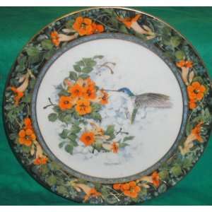  Franklin Mint Royal Doulton Violet Crowned Hummingbird Plate 