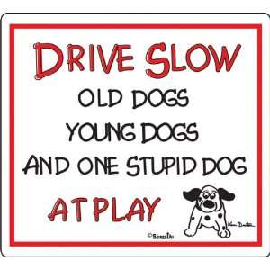  DRIVE SLOW  SIGN Old Dog Patio, Lawn & Garden