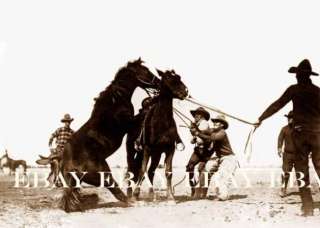 OLD WILD WEST HORSE WRANGLER WESTERN COWBOY ROUND UP RODEO PHOTO 