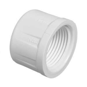  Lasco  Cap Fipt PVC Fittings Schedule 40 1/2 white