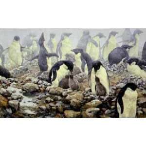   Lester   Spring Flurry Adelie Penguins Artists Proof