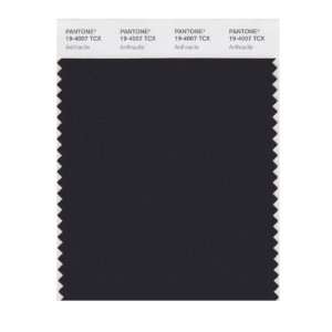  PANTONE SMART 19 4007X Color Swatch Card, Anthracite