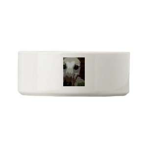  Adopt Pets Small Pet Bowl by 