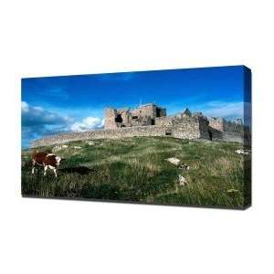  Cashel Castle Ireland   Canvas Art   Framed Size 24x36 
