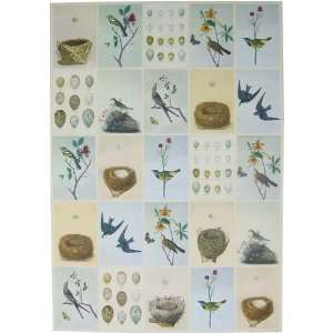  Birds & Nests Cavallini Gift wrap decoupage or wrapping 