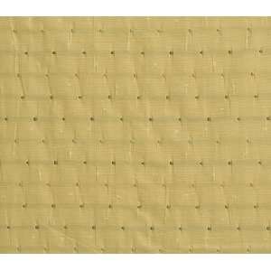  1800 Cedric in Papyrus by Pindler Fabric