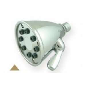  Whitehaus Collection WH139 05 Showerhead