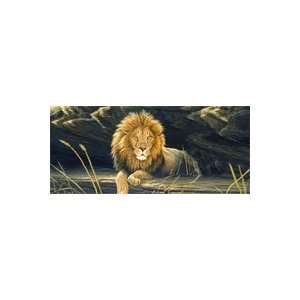 African Lion Rear Window Graphic