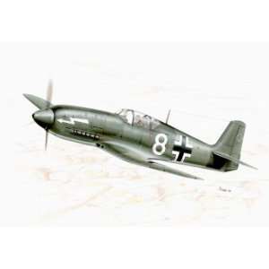   He100D0 (Heinkel He113 Propaganda Jager) Fighter ( Toys & Games