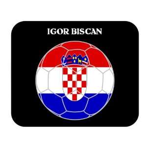  Igor Biscan (Croatia) Soccer Mouse Pad 
