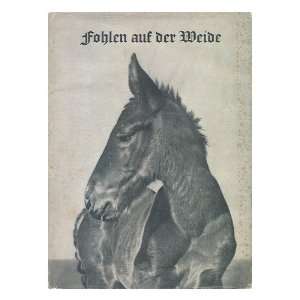  Fohlen Auf Der Weide Alfred (1901 ) Ehrhardt Books