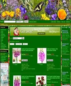 Amazing Flower And Gift Shop Website For Sale  