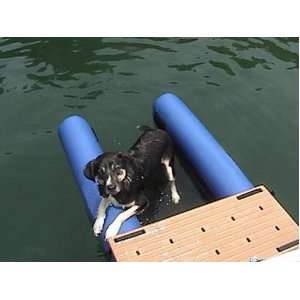  Dog On Water Ramp   BLUE