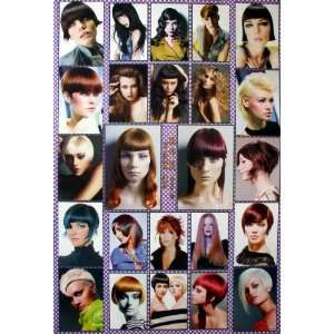 Hair Style Women Salon 2012 Wall Decoration Poster Size 23.5x35 Hair 
