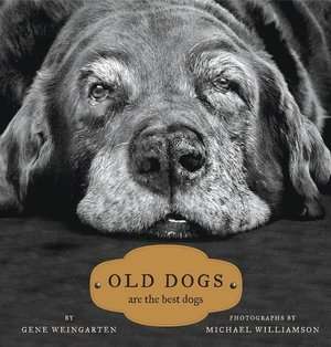 old dogs are the best dogs gene weingarten hardcover $